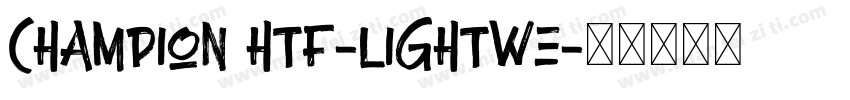 Champion HTF-Lightwe字体转换